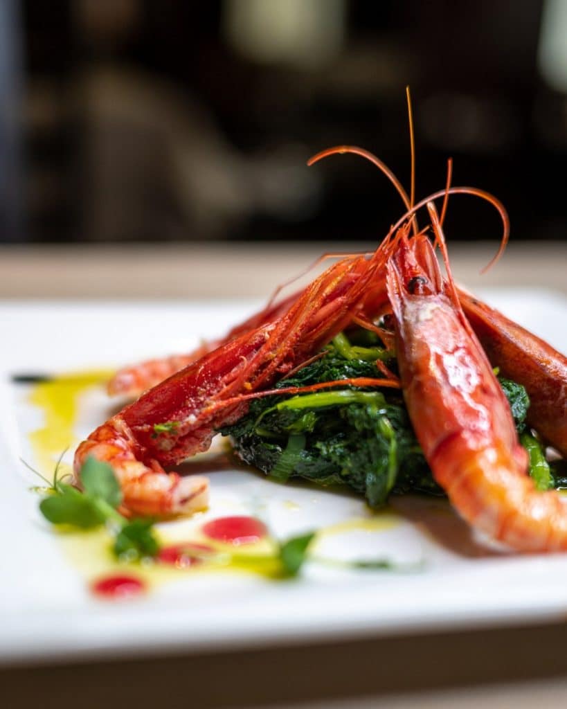 496078782_1739857076860123_1002764958167484598_n