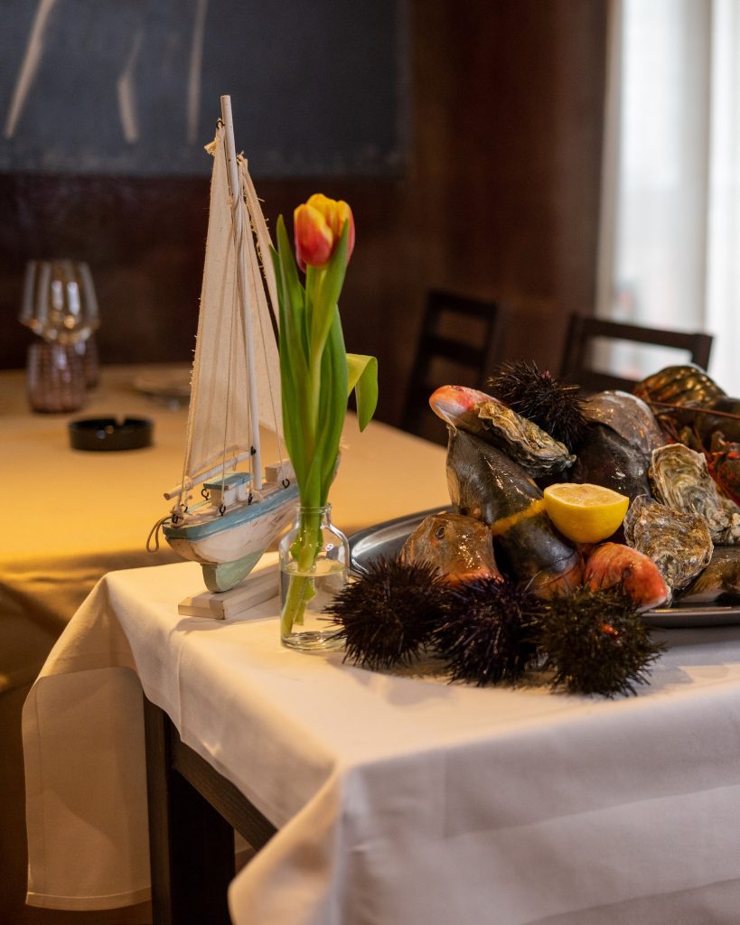 498180334_1743024056543425_1309732546593193498_n