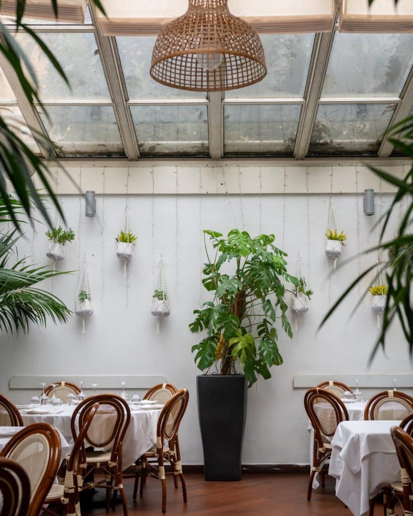 504213740_1758531514992679_1822079672868728764_n