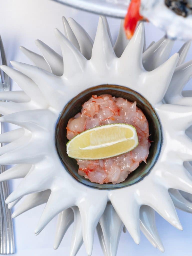 SnapInsta.to_564874113_18073295375225130_6914149136027947832_n